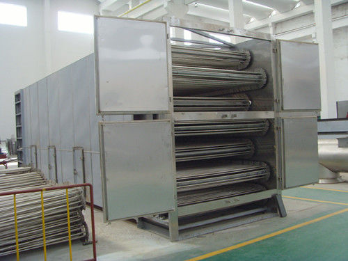 Système de séchage plus sec continu multicouche végétal de bande de conveyeur de machine