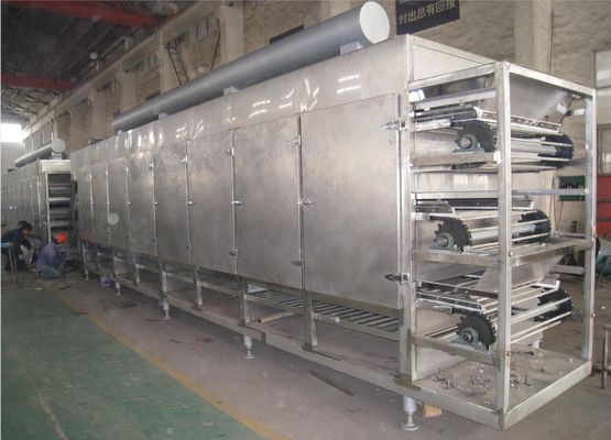 Bande de conveyeur multicouche d'air chaud de série de DWG Oven For Onion/gingembre