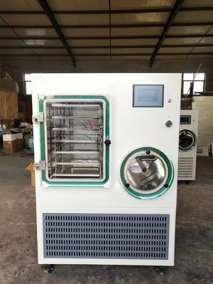 Équipement de lyophilisation et de lyophilisation, machine à fruits lyophilisée sous vide 5000kg/lot