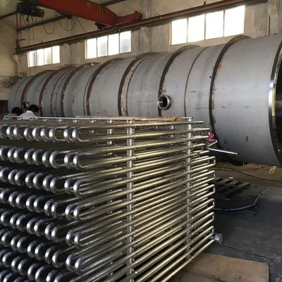 Un dessiccateur plus sec de sublimation de la machine 30kg/Batch-5000kg/batch de gel de la viande SUS304