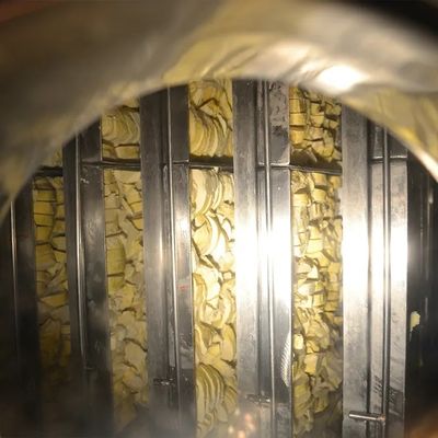 Un dessiccateur plus sec de sublimation de la machine 30kg/Batch-5000kg/batch de gel de la viande SUS304